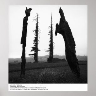 Póster Universidad de California por Ansel Adams