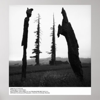 Póster Universidad de California por Ansel Adams