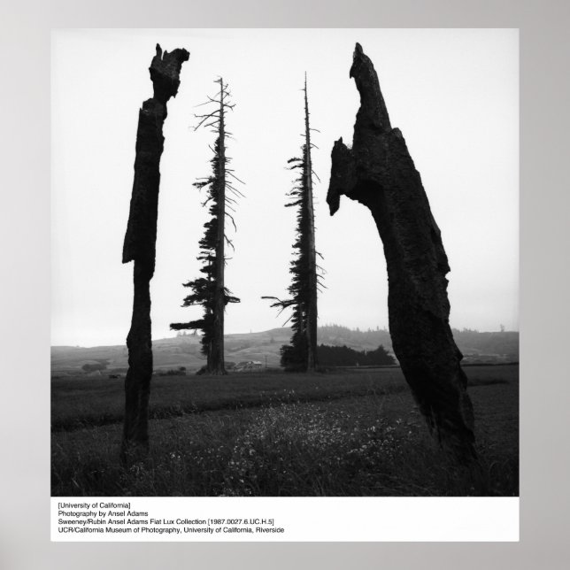 Póster Universidad de California por Ansel Adams (Frente)