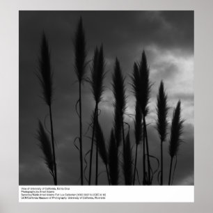 Póster Universidad de California, Santa Cruz, Ansel Adams