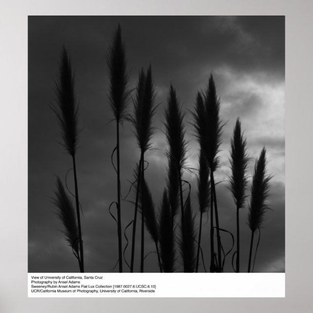Póster Universidad de California, Santa Cruz, Ansel Adams (Frente)