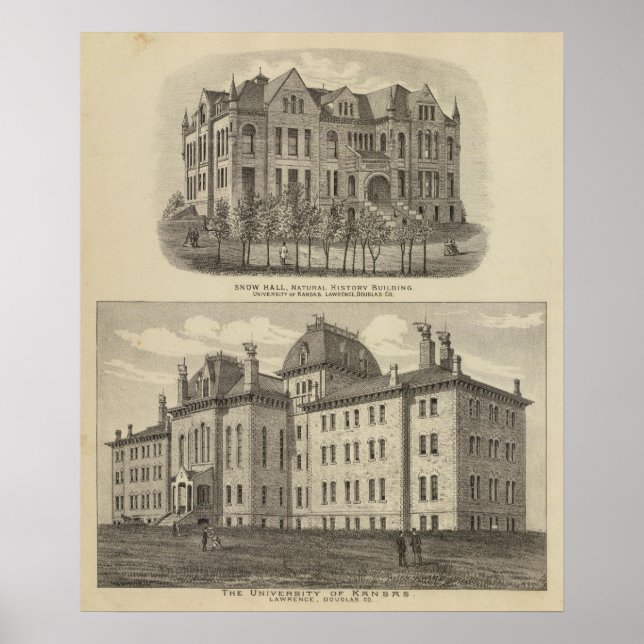 Póster Universidad de Kansas (Frente)