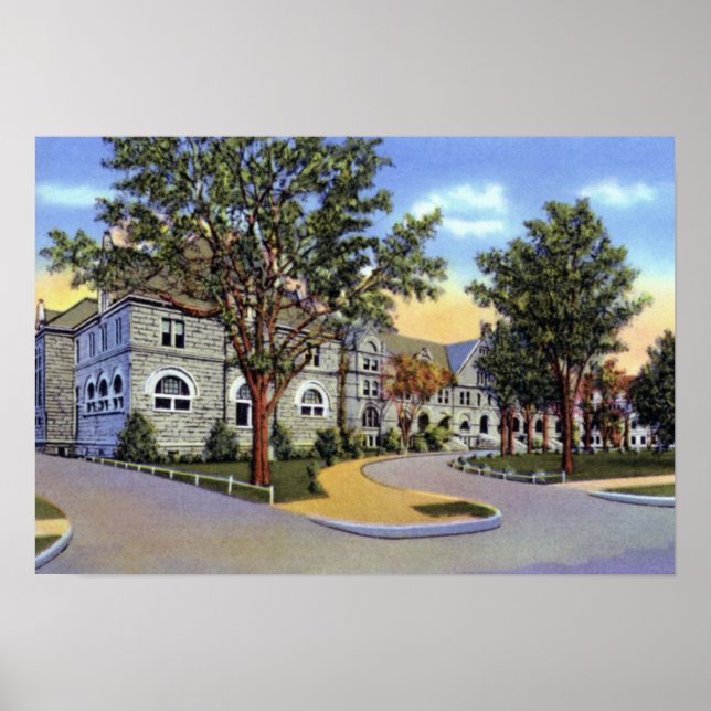 Póster Universidad de Nueva Orleans Louisiana Tulane (Frente)