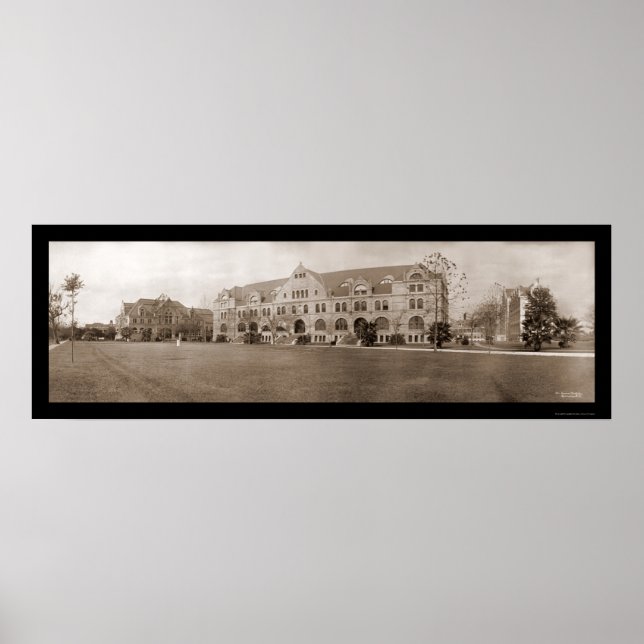 Póster Universidad de Tulane Foto de LA 1909 (Frente)