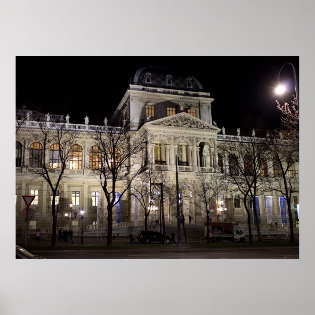 Póster Universidad De Viena Austria (Frente)