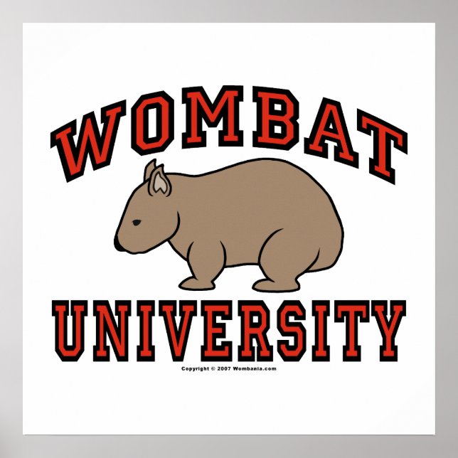Póster Universidad de Wombat (Frente)