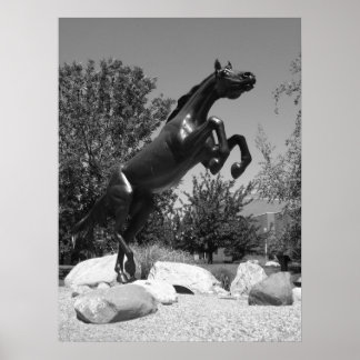 Póster Universidad del Oeste de Michigan, Kalamazoo, MI