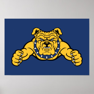 Póster Universidad Estatal de Carolina del Norte   BULLDO