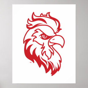 Póster Universidad Estatal de Jacksonville Gamecocks Jueg