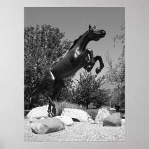 Póster Universidad occidental de Michigan, Kalamazoo, MI