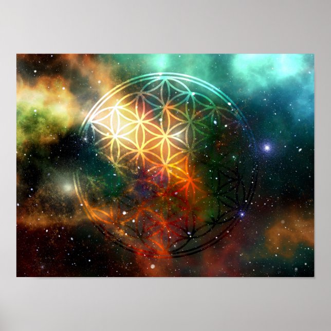 Póster Universum - La Flor de la Vida - (Frente)