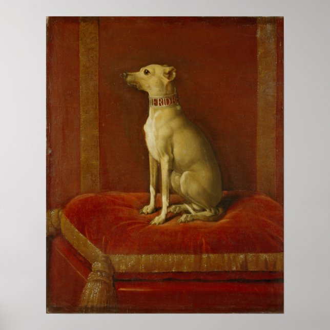 Póster Uno de los Greyhounds italianos de Frederick II (Frente)