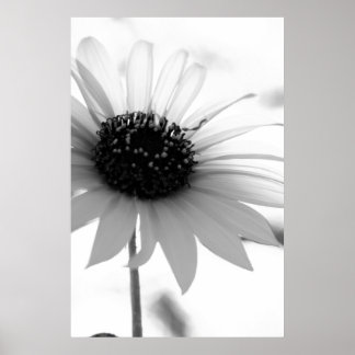 Póster Untitled Poster