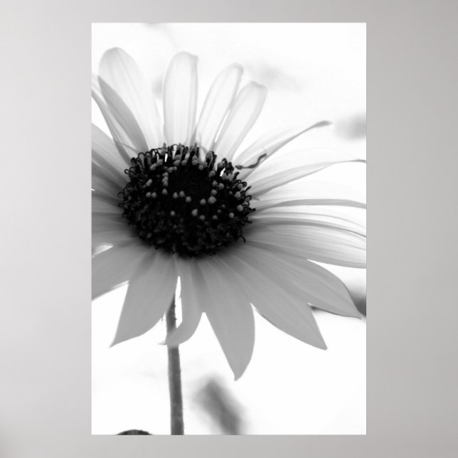 Póster Untitled Poster (Frente)