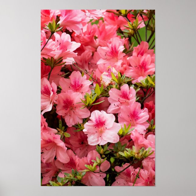 Póster Up Close (Frente)