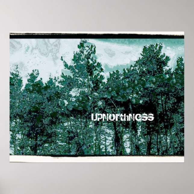 Póster UpNorthNess (Frente)