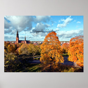 Póster Uppsala, paisaje de Suecia