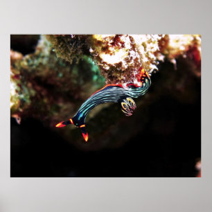 Póster Upside Down Nudi