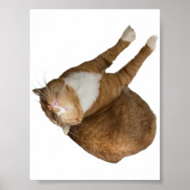 Póster Upside-Down Sunshine