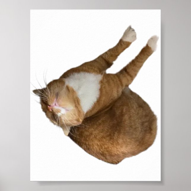 Póster Upside-Down Sunshine (Frente)