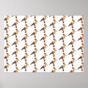Póster Upupa epops epops Patrón de mosaico