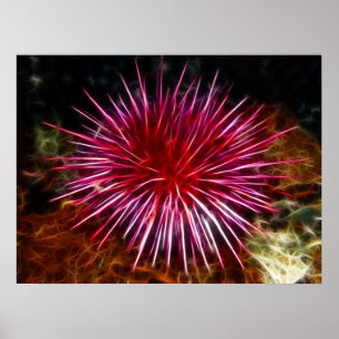 Póster Urchin de mar púrpura
