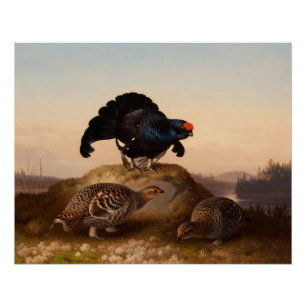 Póster Urogallos negros 1870 de Fernando von Wright Orrar