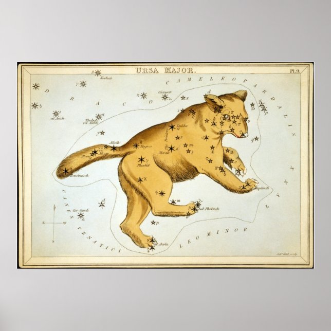Póster Ursa Major (Frente)