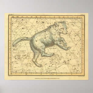 Póster Ursa Major