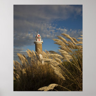 Póster Uruguay, Departamento de Montevideo, Montevideo. 2