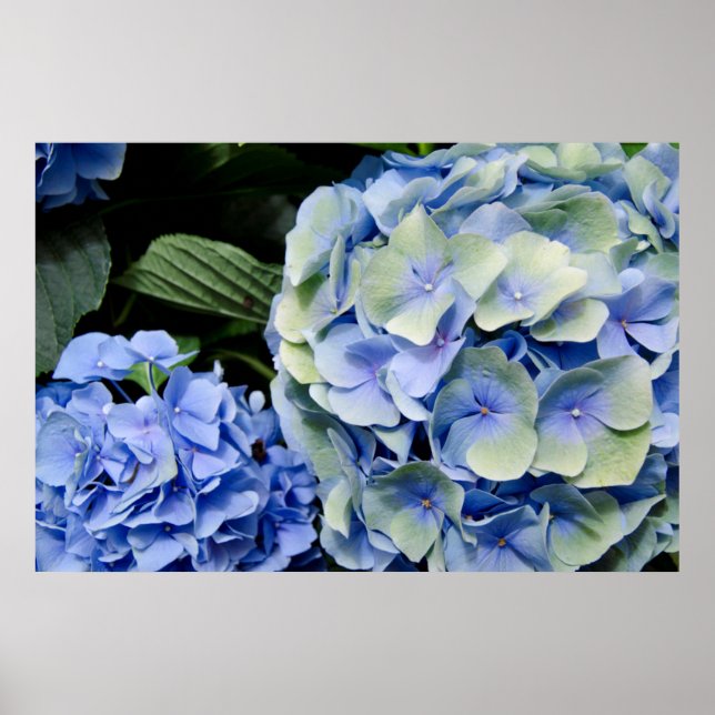 Póster USA, Alabama, Theodore Near Mobile (Frente)