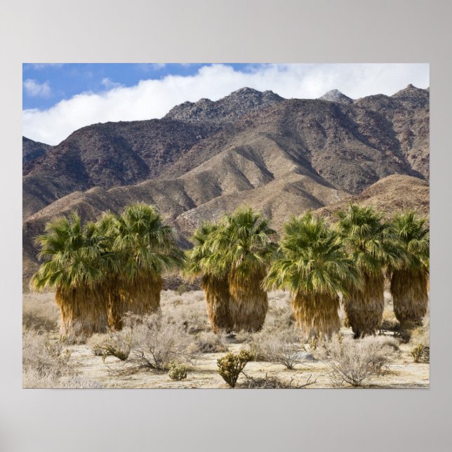 Póster USA, California, Anza-Borrego Desert State Park. (Frente)