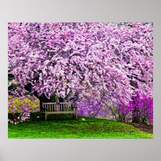 Póster USA, Delaware, Wilmington. Wooden bench under (Frente)