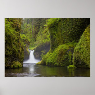 Póster USA, Eagle Creek, Columbia Gorge, Oregon. 3