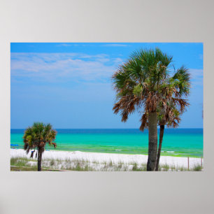Póster USA, Florida. Palm Trees On Emerald Coast