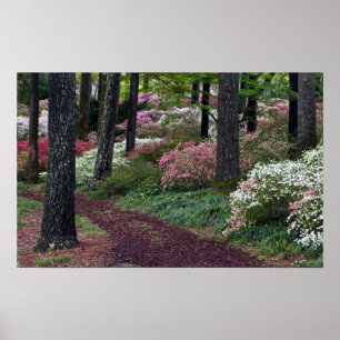 Póster USA, Georgia, Callaway Gardens. Pathway