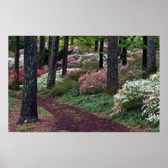 Póster USA, Georgia, Callaway Gardens. Pathway (Frente)