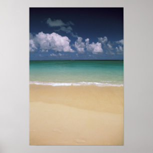 Póster USA, Hawaii. Beach scene