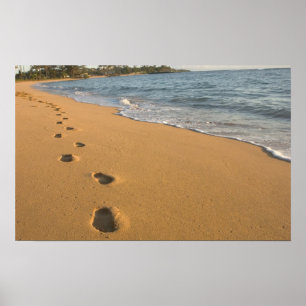 Póster USA, Hawaii, Kauai, Kapa'a, beachfront. RF)