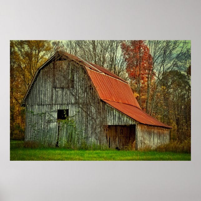 Póster USA, Indiana. rural landscape, vine-covered barn (Frente)