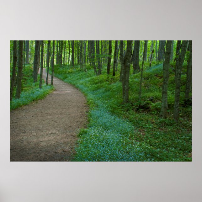 Póster USA, Michigan. Miner's Falls Trail (Frente)