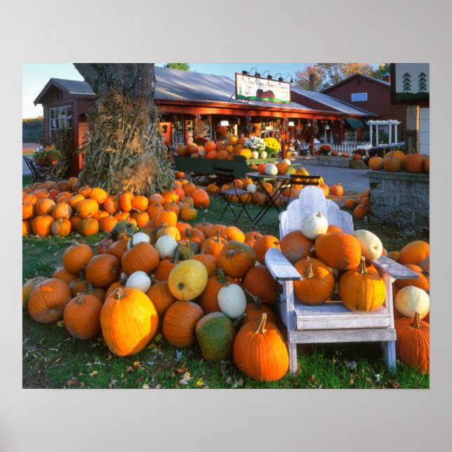 Póster USA, New England, Maine, Wells. Autumn Display (Frente)