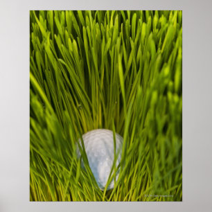 Póster USA, New Jersey, Jersey City, Close-up view of