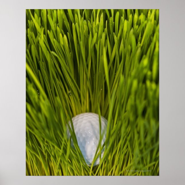 Póster USA, New Jersey, Jersey City, Close-up view of (Frente)