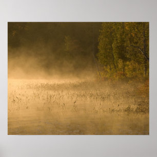 Póster USA, New York, Adirondack Park. Sunrise mist on