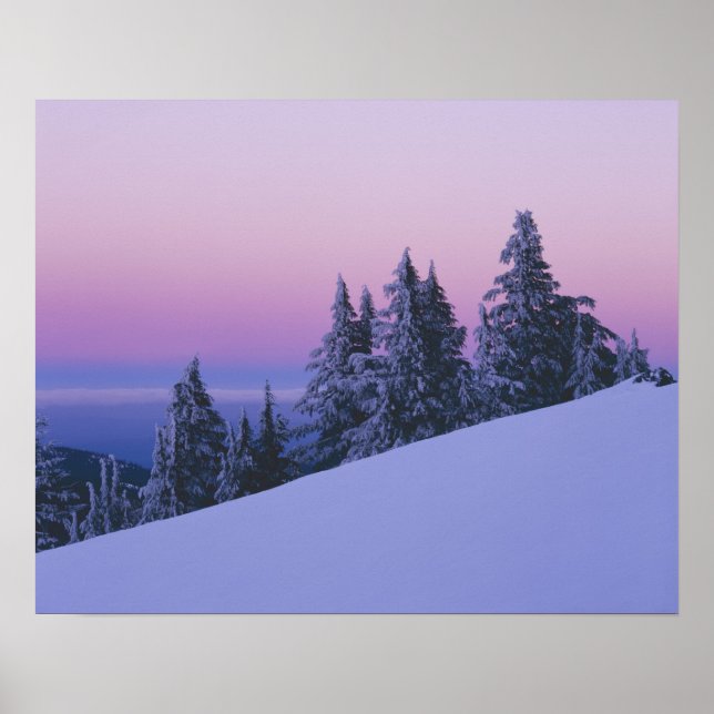 Póster USA, Oregon, Deschutes National Forest, Dusk (Frente)