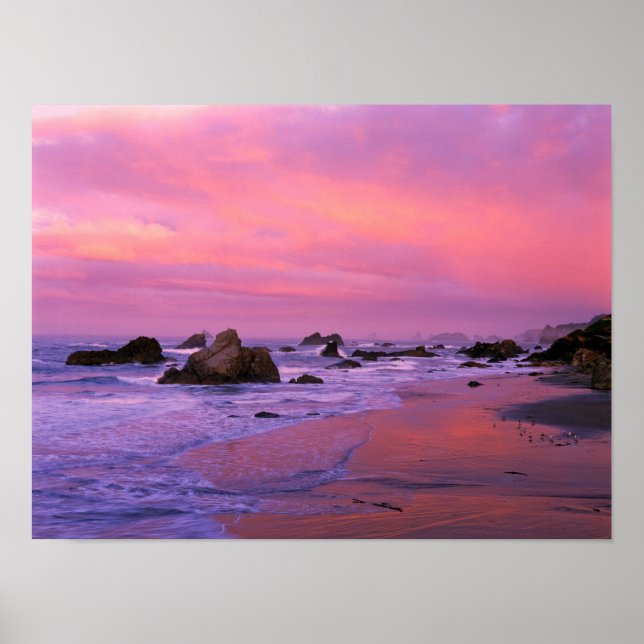 Póster USA, Oregon, Harris State Beach, Brookings. (Frente)