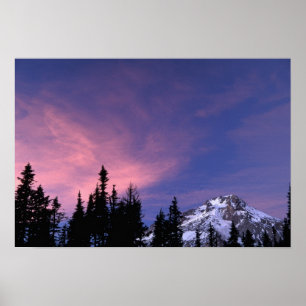 Póster USA, Oregon, Mount Hood from Timberline