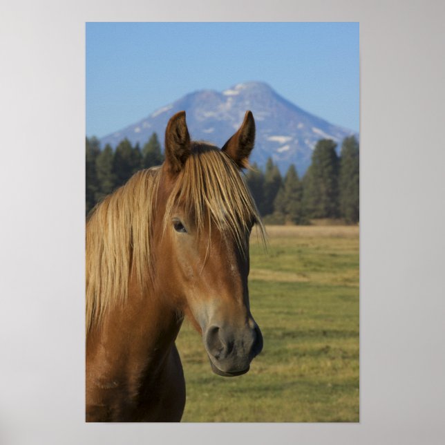 Póster USA, Oregon, Sisters, view of Three Sisters, (Frente)