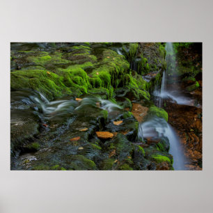 Póster USA, Pennsylvania, Benton, Ricketts Glen State